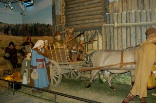 DSC_0334 (1600x1064)